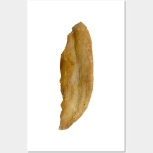 isolated fried FISH FILLET Posters and Art